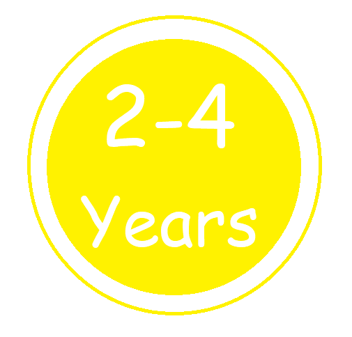 Age - 2 to 4 years