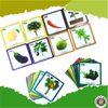 MATCH IT - WHERE DOES IT GROW ? - Monkey Minds