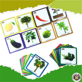 MATCH IT - WHERE DOES IT GROW ? - Monkey Minds