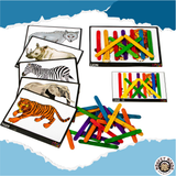 PATTERN & SEQUENCE - ANIMAL ZOO - Monkey Minds