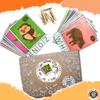 CLIP THE CARD - BEGINNING LETTER SOUND - 2 - Monkey Minds